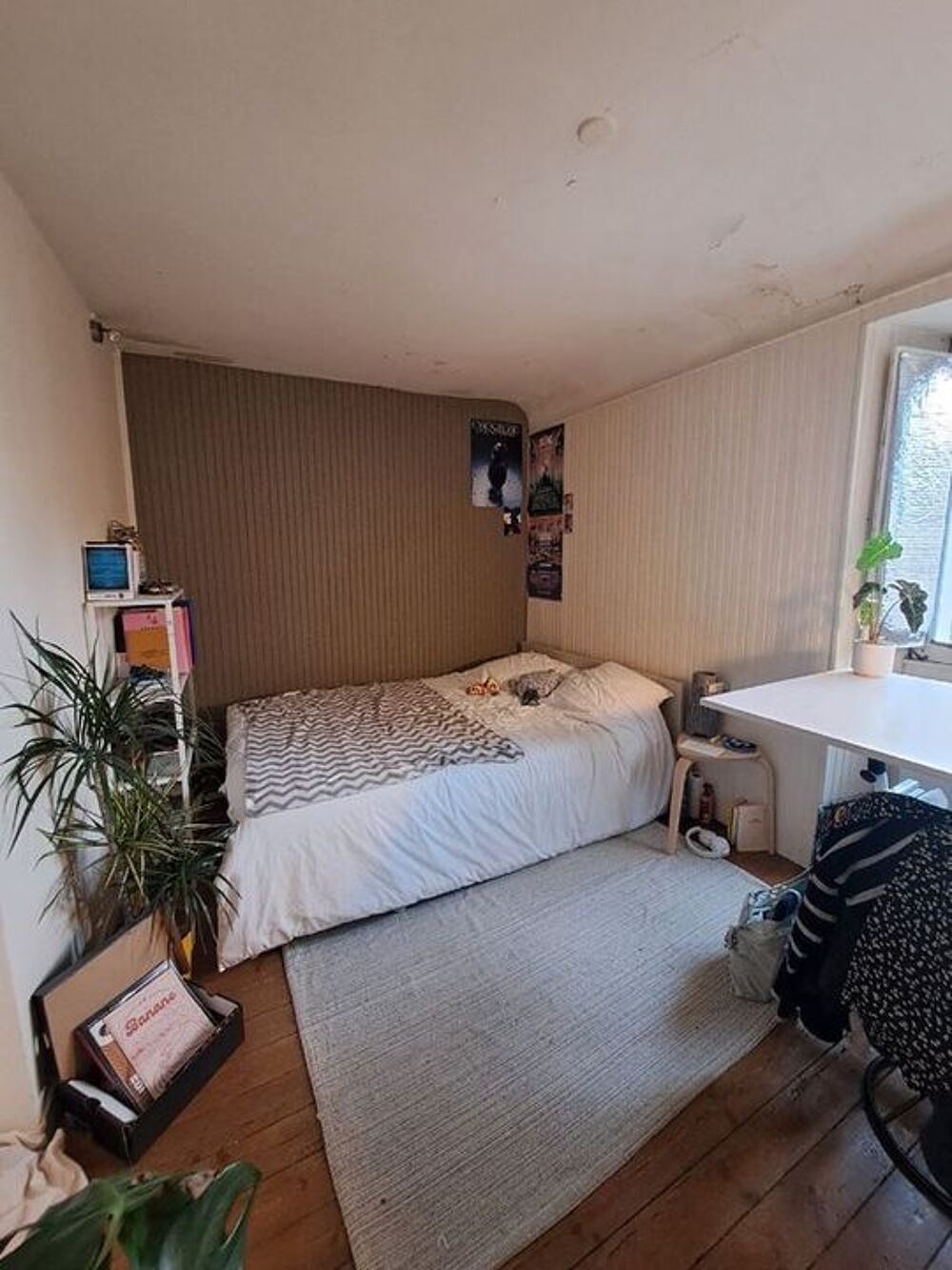 Location Appartement Appartement de 49m2 à louer sur Nantes Nantes