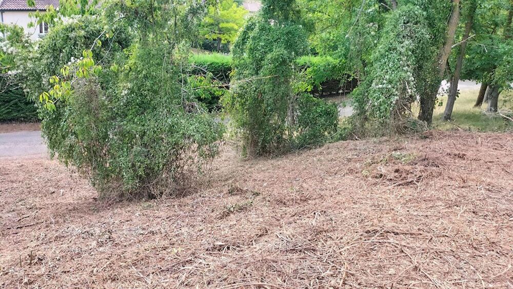 Vente Terrain Terrain constructible Puycasquier(32120) 603m² Puycasquier