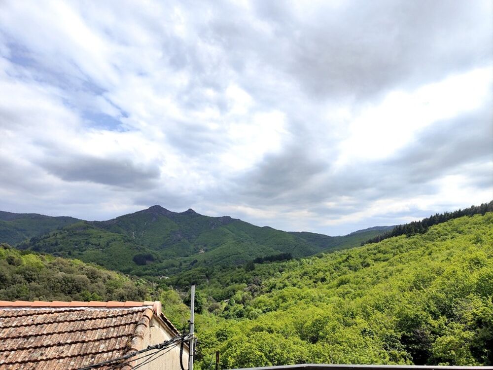 Mas avec terrasse et terrain
