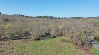  Terrain � vendre 2290 m�