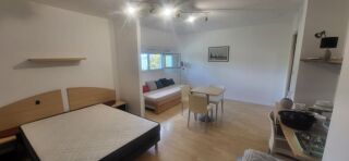  Appartement à louer 1 pièce 30 m²