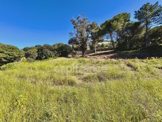  Terrain � vendre 1103 m�