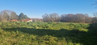  Terrain à vendre 7522 m²