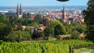  Appartement � vendre 2 pi�ces 46 m�