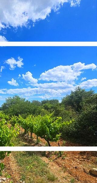Vente Terrain TERRE AGRICOLE Saint remeze