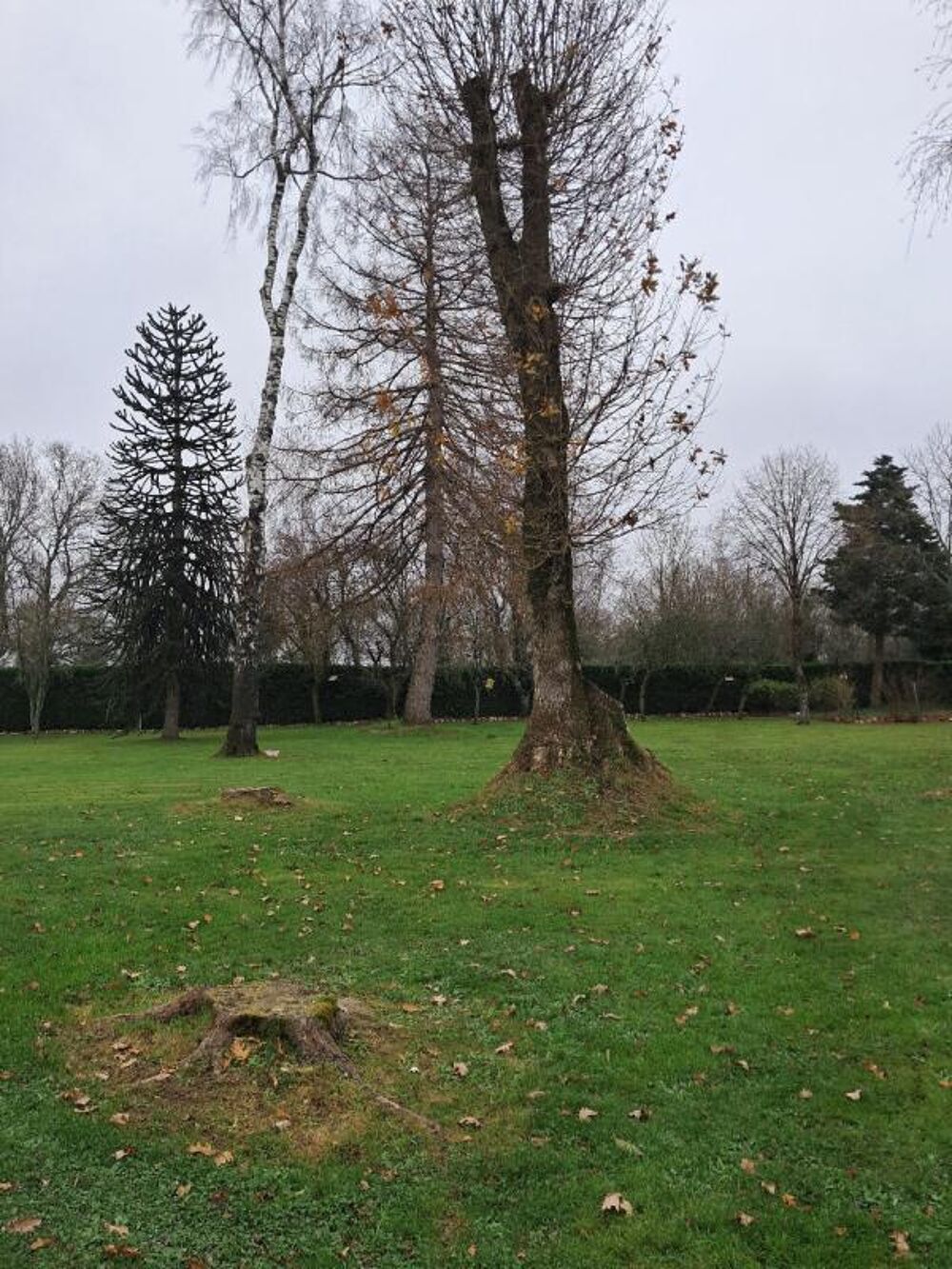 Vente Terrain Terrain arboré et constructible La chapelle caro