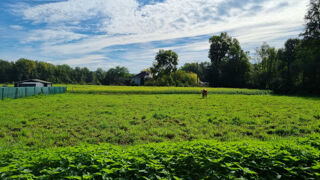  Terrain  vendre 3347 m