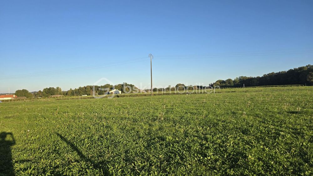 Vente Terrain Terrain plat et viabilisé Merignac