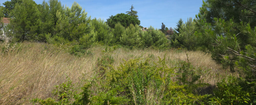 Vente Terrain MARSEILLETTE : TERRAIN 1426 m2  SURFACE DE CONSTRUCTION NON REGLEMENTEE Marseillette