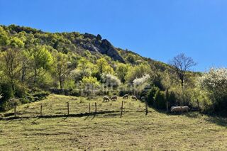 Terrain à vendre 203000 m²