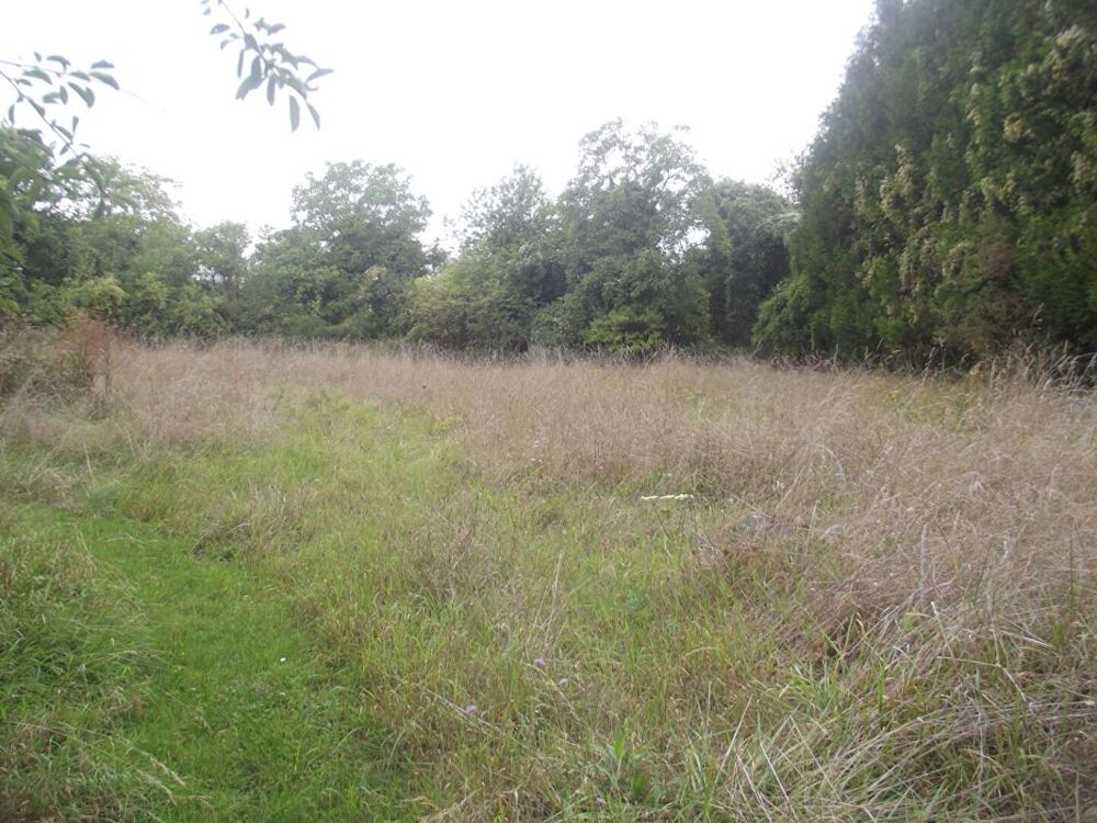 Vente Terrain Terrain Constructible Chavanges