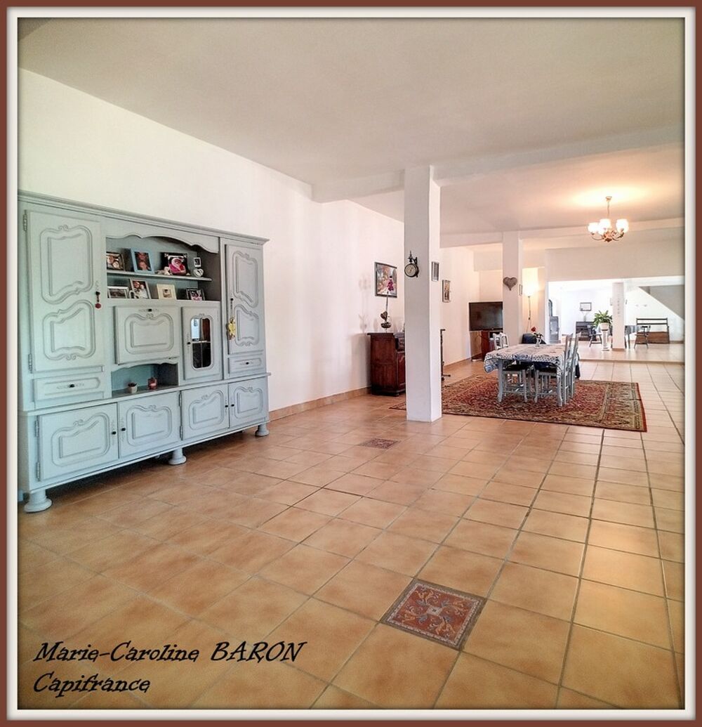 Vente Maison Indre (36),aux portes de la touraine, LUCAY LE MALE maison 450 m² jardin de 4 482,00 m² Lucay le male