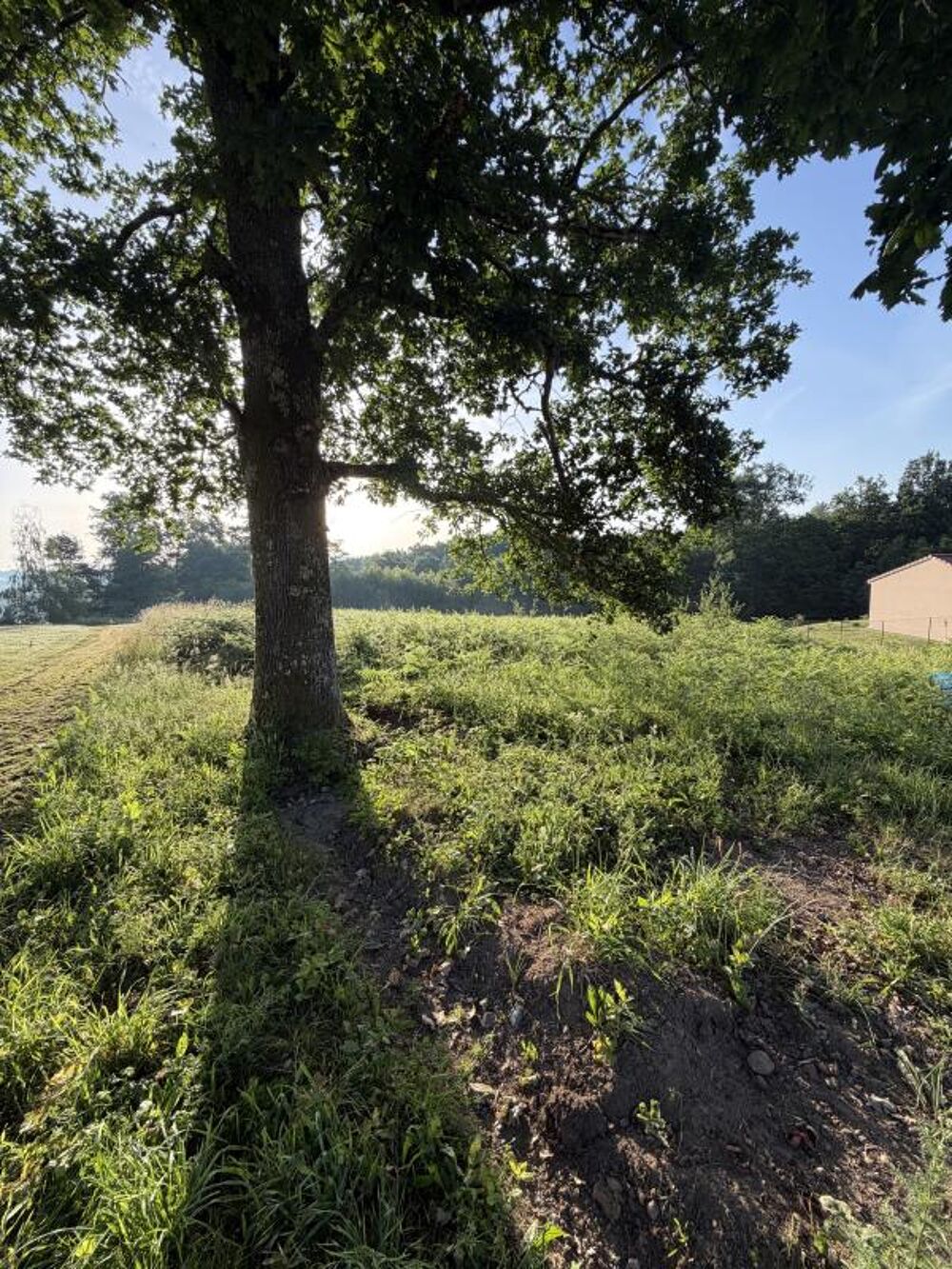 Vente Terrain Terrain Royeres