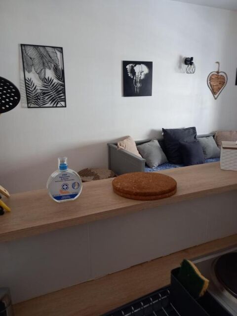  Appartement � louer 1 pi�ce 21 m�