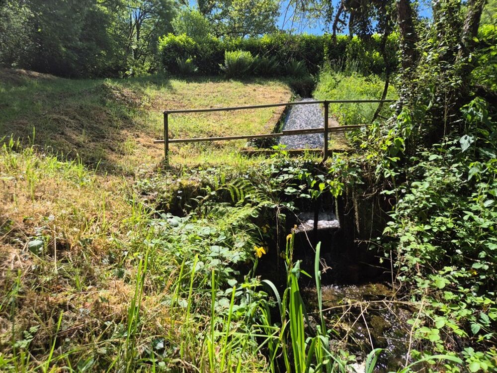 Vente Terrain Deux beaux étangs, 6500 m2 d'eau pour pêche et loisirs sur un espace total de deux hectares de terrains Pressignac