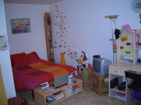 Image Annonce