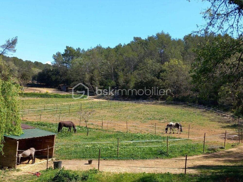 � vendre  Propri�t�/ch�teau Cabasse (83340)