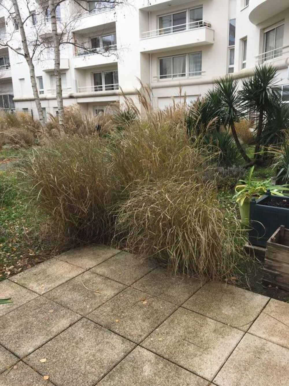 Location Appartement Studio de 24m2 à louer sur Nantes Nantes