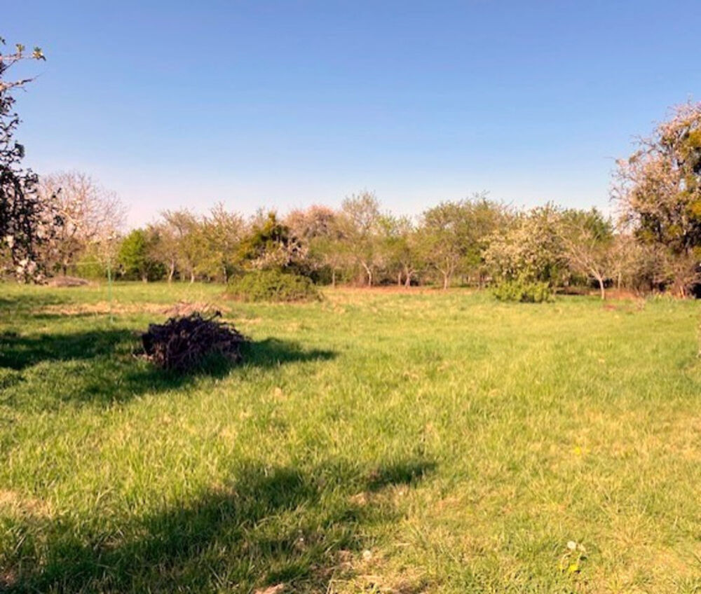 Vente Maison A saisir ! Cerisiers