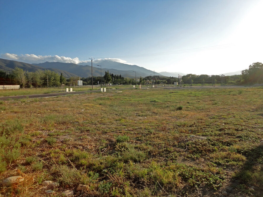 Vente Terrain Dpt Pyrénées Orientales (66), à vendre ILLE SUR TET terrain constructible 1795 m², plat, vaibilisé Ille sur tet