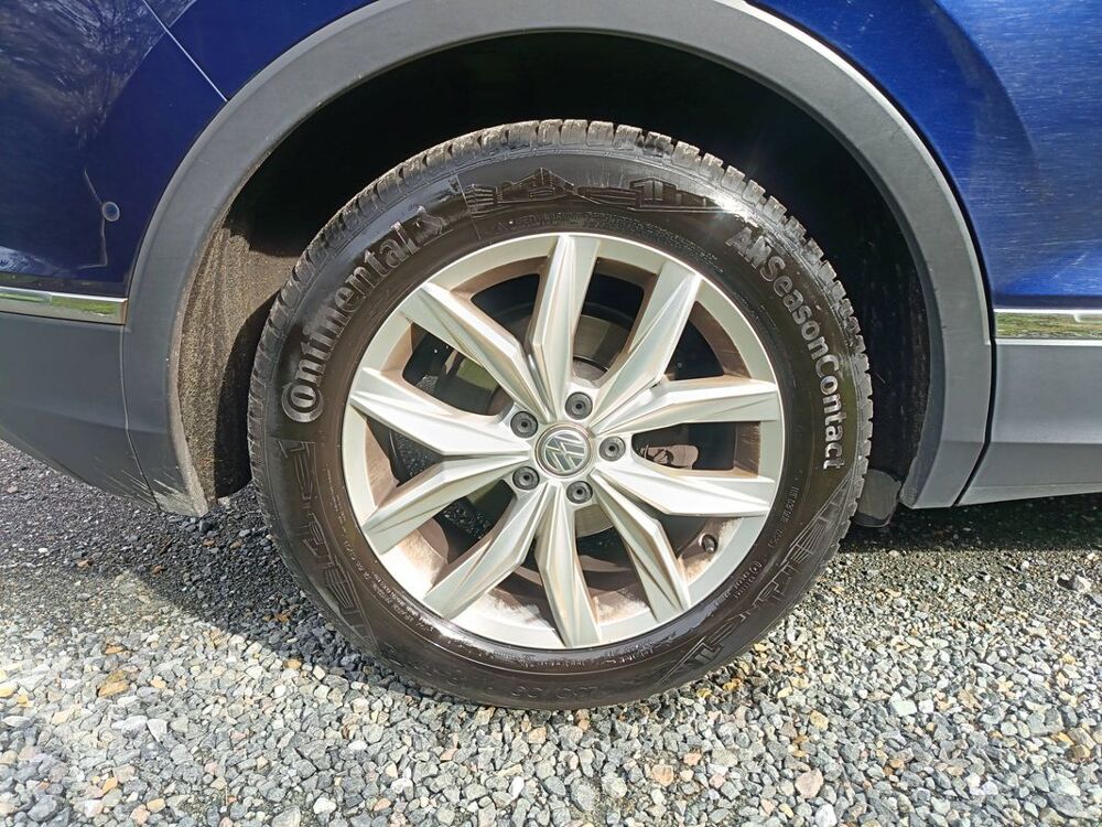 Tiguan 2.0 TDI 150 DSG7 Match 2019 occasion 49124 Saint Barthelemy D Anjou