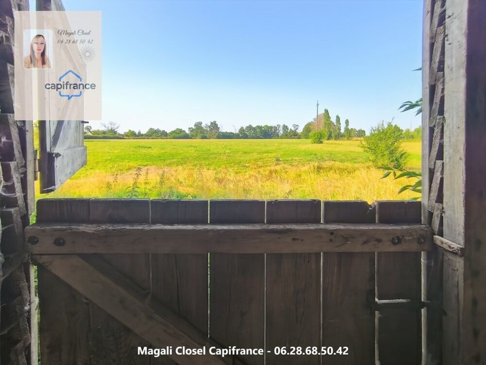 Vente Maison Bel ensemble immobilier de caractère sur près de 3 hectares. Maison, dépendances et Boxs à chevaux Terrans