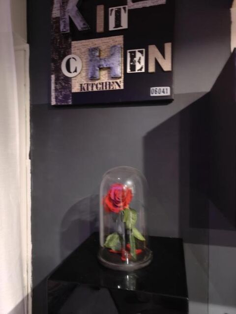  Appartement � louer 3 pi�ces 60 m�