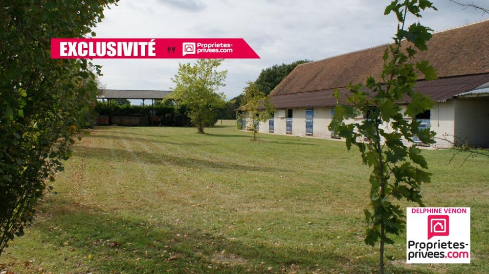 � vendre  Propri�t�/ch�teau Sigloy (45110)