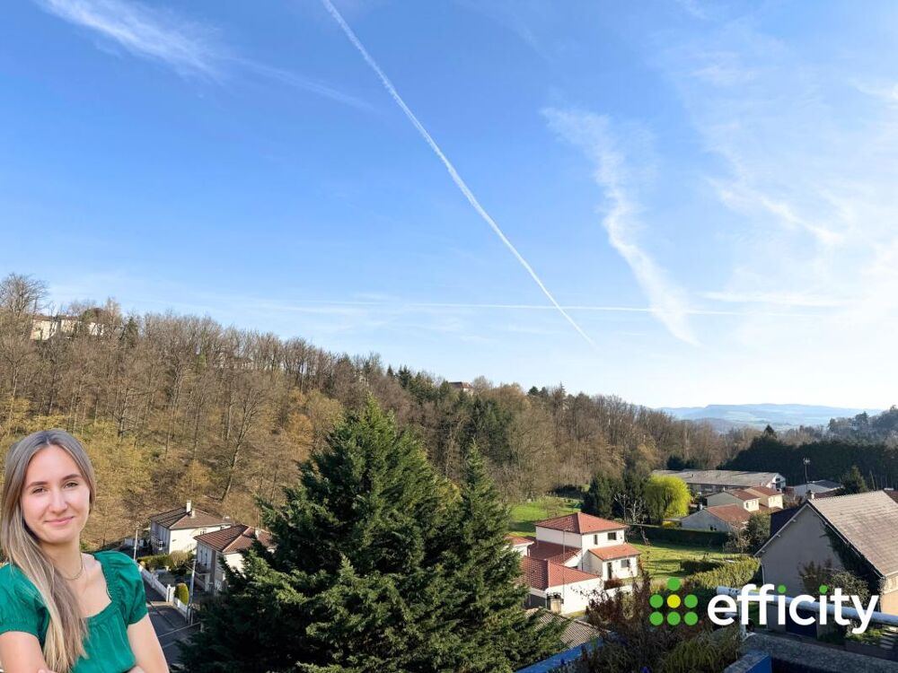 Vente Appartement Appartement Sorbiers