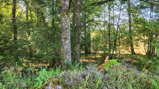  Terrain � vendre 1245 m�