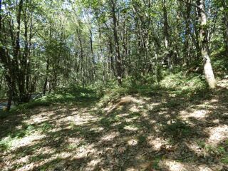  Terrain � vendre 1023 m�