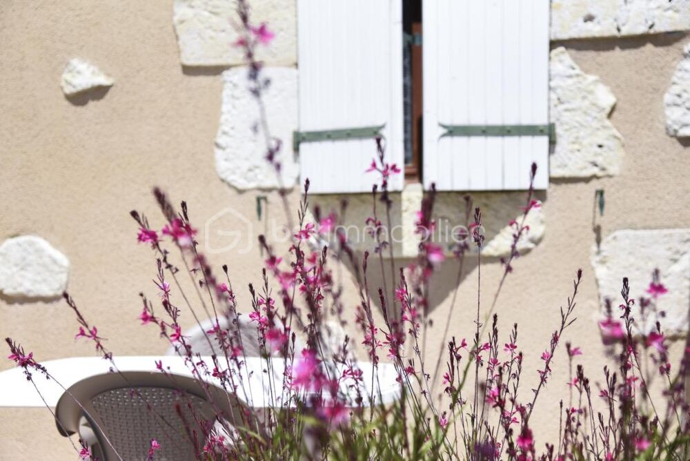 Ensemble immobilier de caractère en pierres 490m² avec activité locative rentable