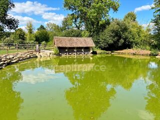  Propri�t�/ch�teau � vendre 10 pi�ces 360 m�