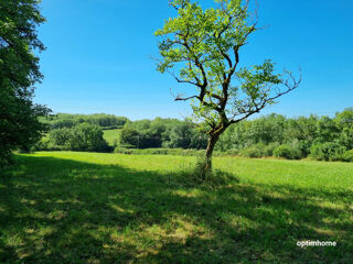  Terrain à vendre 8000 m²