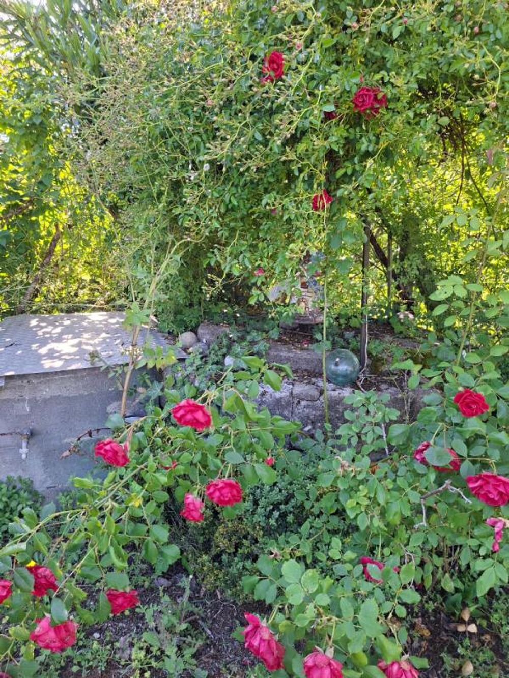 Vente Maison jolie maison pierre typique Saint estephe
