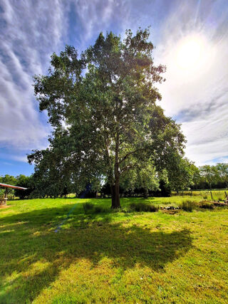  Ferme à vendre 1 pièce 239 m²