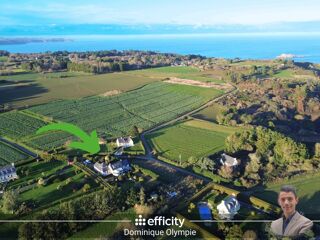  Maison � vendre 15 + pi�ces 340 m�