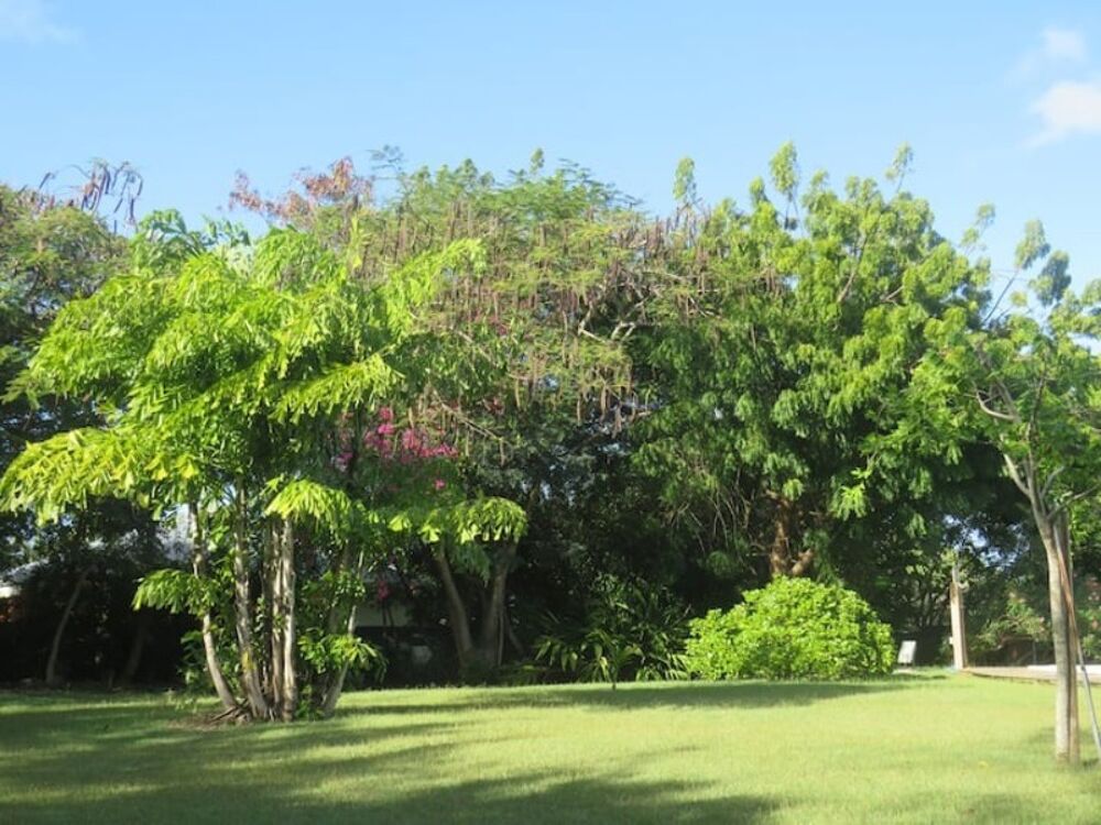 � vendre  Villa Saint-Fran�ois (97118)