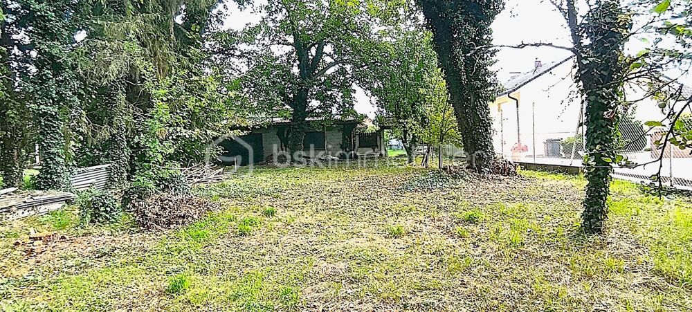 Vente Terrain Terrain de 1 500 m² partiellement constructible avec hangar de 270 m² aménageable Colmar