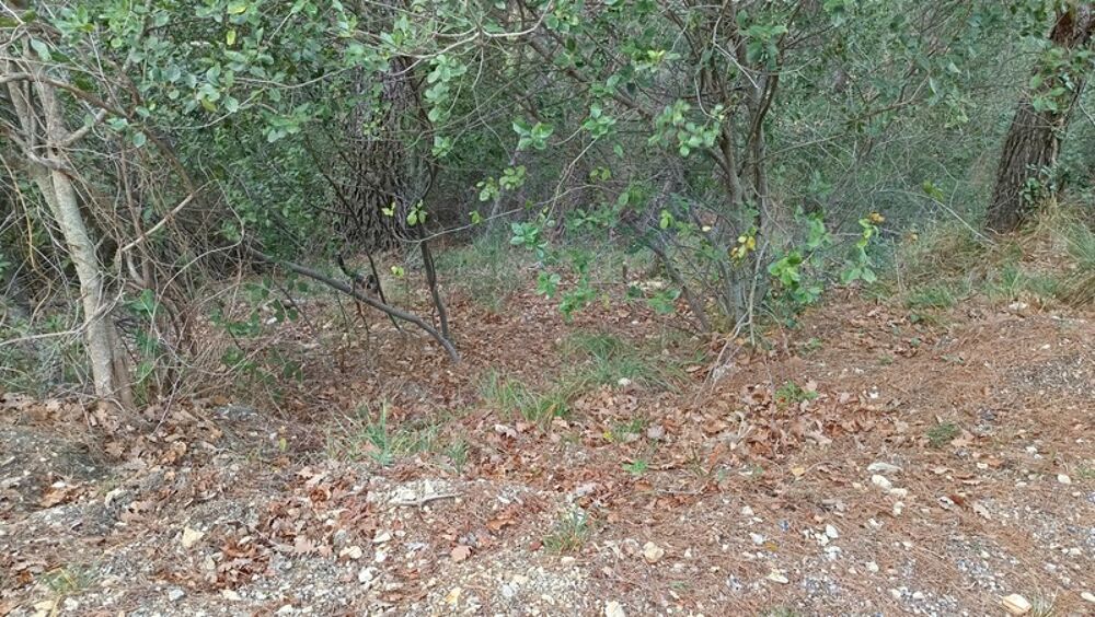 Vente Terrain Terrains de loisirs à vendre e de 7 769,00 m² PEILLE (06) Peille