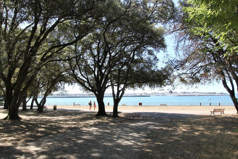 Appartement 2 pièces 50 m² · à La Rochelle · 50 m² · 240 000 €