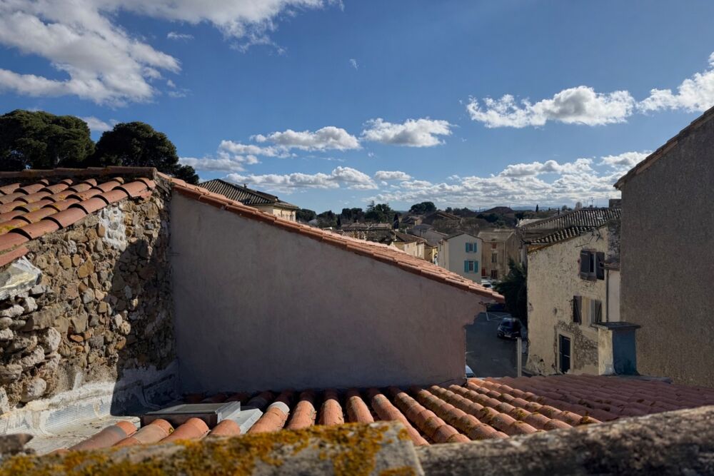 MAISON DE VILLAGE + GÎTE INDÉPENDANT  CANAL DU MIDI  PATIO ET TERRASSE TROPÉZIENNE