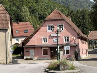  Maison � vendre 9 pi�ces 303 m�