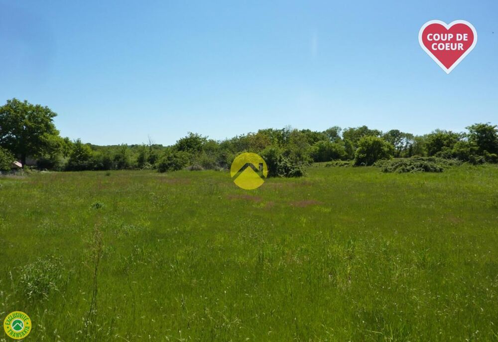 Vente Terrain TERRAIN A BATIR 3500 M2 Vallon en sully