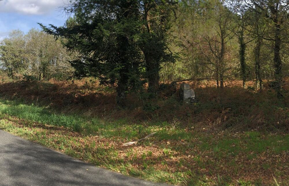 Vente Terrain Terrain 8438m2, semi forestier, de loisirs, proche de DAX Herm