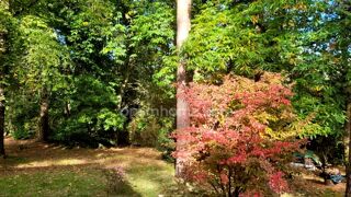  Maison � vendre 6 pi�ces 122 m�