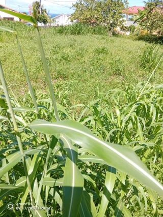  Terrain � vendre 556 m�