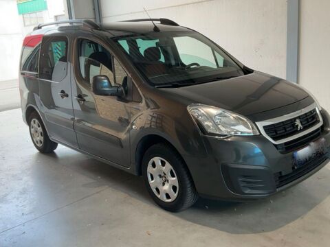 Annonce voiture Peugeot Partner Tepee 11900 