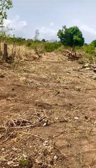  Terrain � vendre 5020 m�