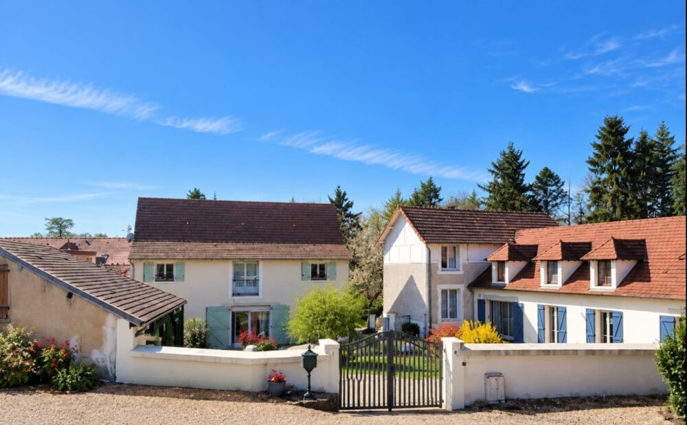 Vente Maison MEAULNE ( 03 )  Magnifique Propriété à vendre 10 pièces 365m2 Terrain 4179m2 Meaulne